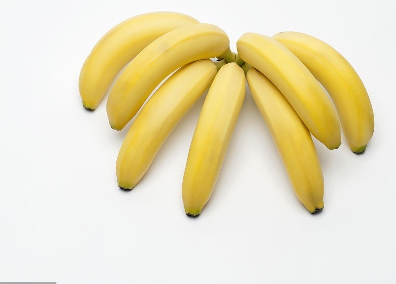 箭牌口香糖|33个冷知识真实存在于这个多彩的世界,特别是第十五个