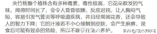 这六种花都是“毒花”，家里有老人、小孩、孕妇的，千万要慎养！