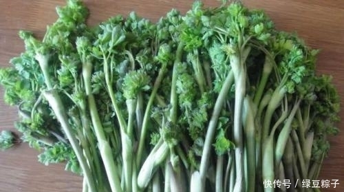 提醒|提醒:见到像猫爪子的野菜,一定要拔回家,好处多,作用还大