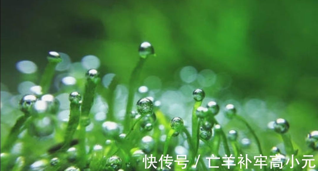 戌会@西游记中的玉帝真的是恐龙修炼成的吗?快来看看原著怎么说