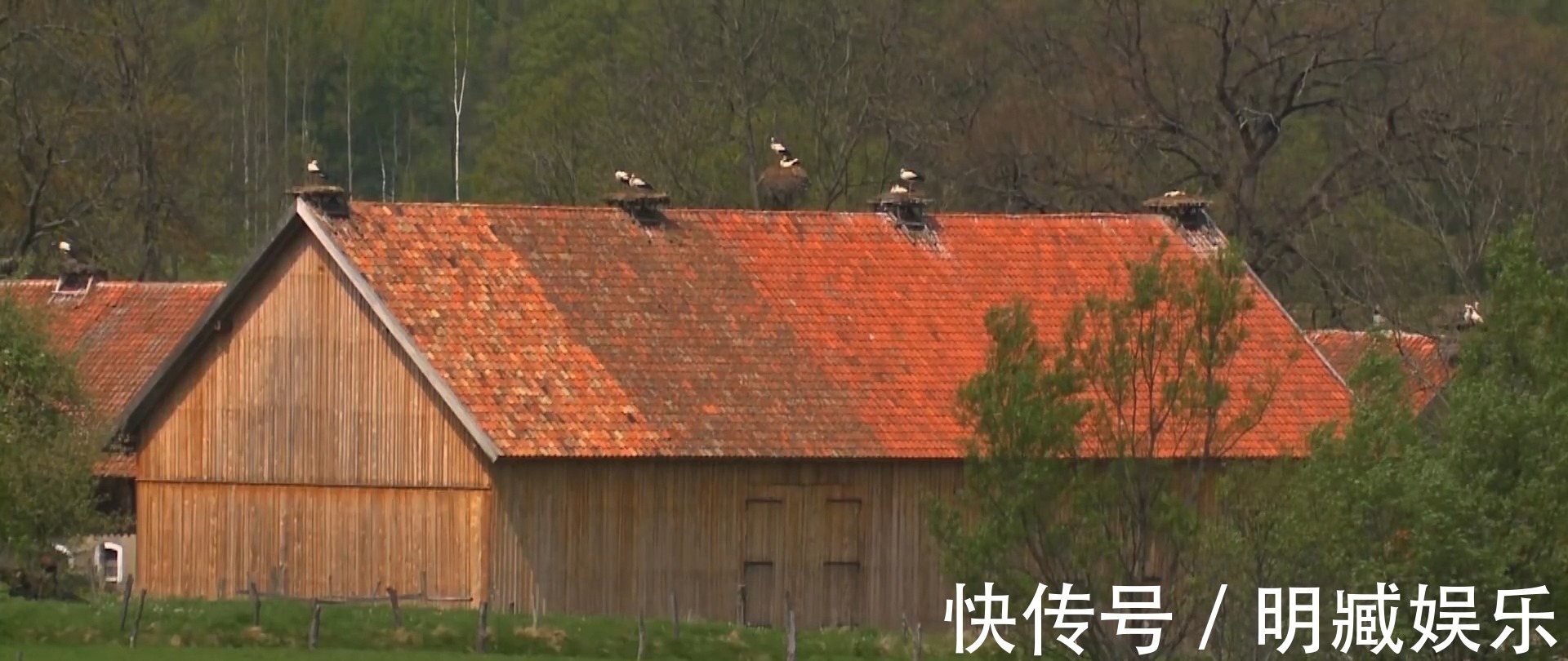 这几月出生的人，总遇贵人相助，不仅拥有事业大丰收，家庭也美满