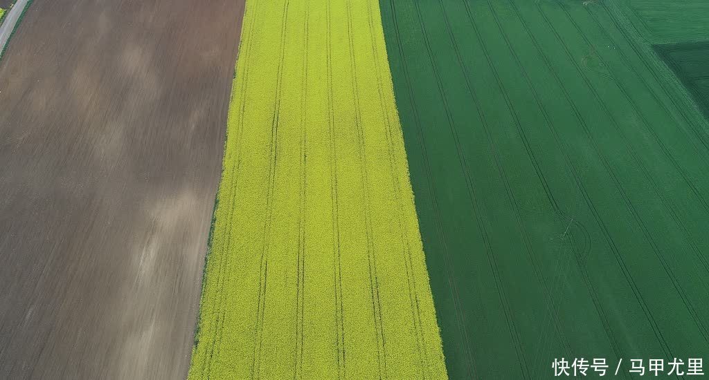 无人机航拍土耳其芥花田 好似天然调色盘