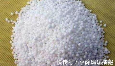 老花匠养花从不用啤酒、淘米水，仅在盆里倒点“它”，养啥爆啥！