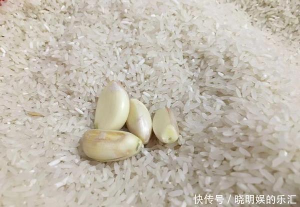 5个保存大米的小技巧,此做法,大米不生虫,不霉变,久放不变味