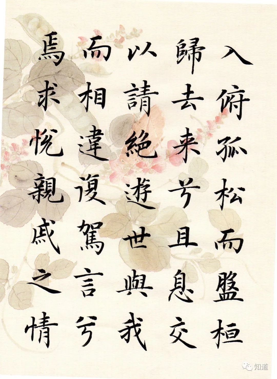 归去来兮辞#书法不可以自学,自学就等于自杀。书法培训老师都这么说