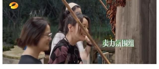 张子枫|金婧刘胜瑛有多尬?张子枫的表情说明了一切,简直是大型社死现场