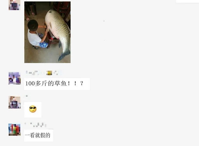 真的假的?男子称钓获“扁担长”草鱼王引争议,网友:怎么可能长这么大