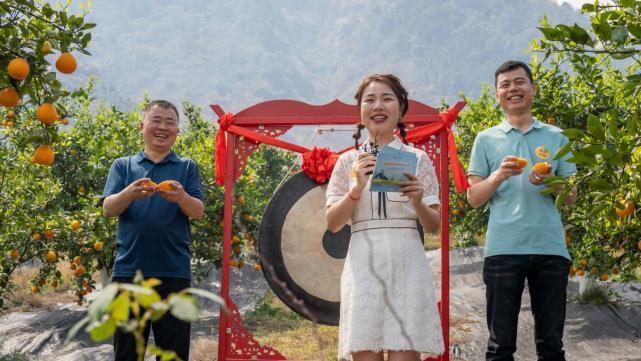 t01ca2fd5a50e7cf994.jpg?size=641x361