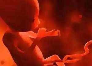 孕妇|4岁小女孩肚子大的好像孕妇一样,经检查后父母痛心不已