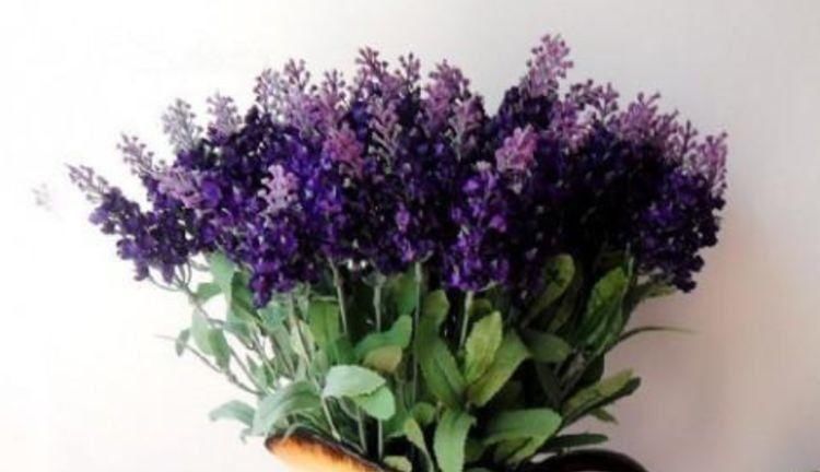 卧室养上3种花,空气清新,怡情养性助睡眠,你养了吗?