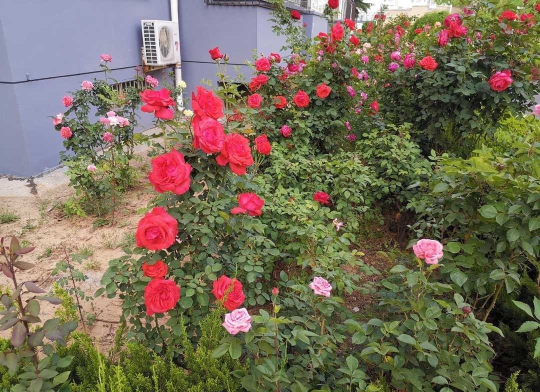 曾国藩:凡事应该谨慎俭朴,越是鼎盛时期越要收敛