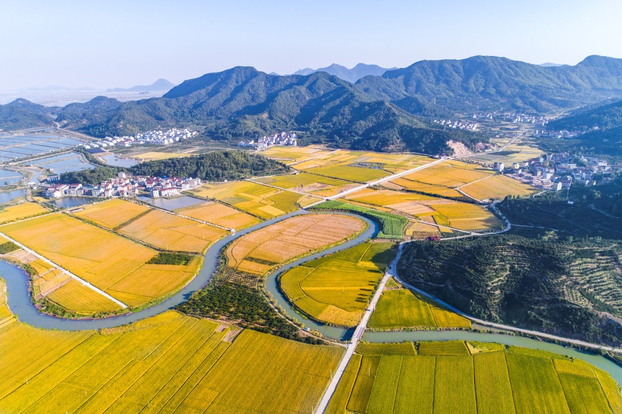 d25 跨越山海尽鲜甜