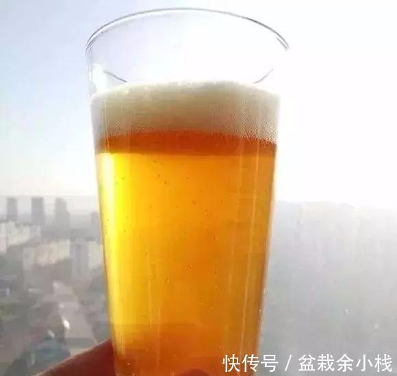 盆里灌点饮料,盆土疏松有营养,10年不用换土花也长得旺