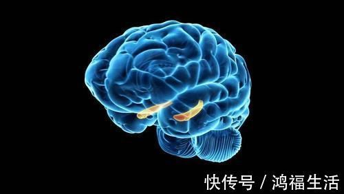 九蒸九|一个无比强大的方子,可以帮助你全面提高记忆力,用过的人直说好