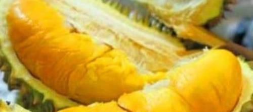 聰明人都在吃幾種食物，補充蛋白質(zhì)，延緩肌膚衰老，美白肌膚