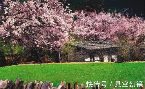 佳作&郑板桥的一首佳作,意到笔随,展现了乡村生活的苦乐悲欢