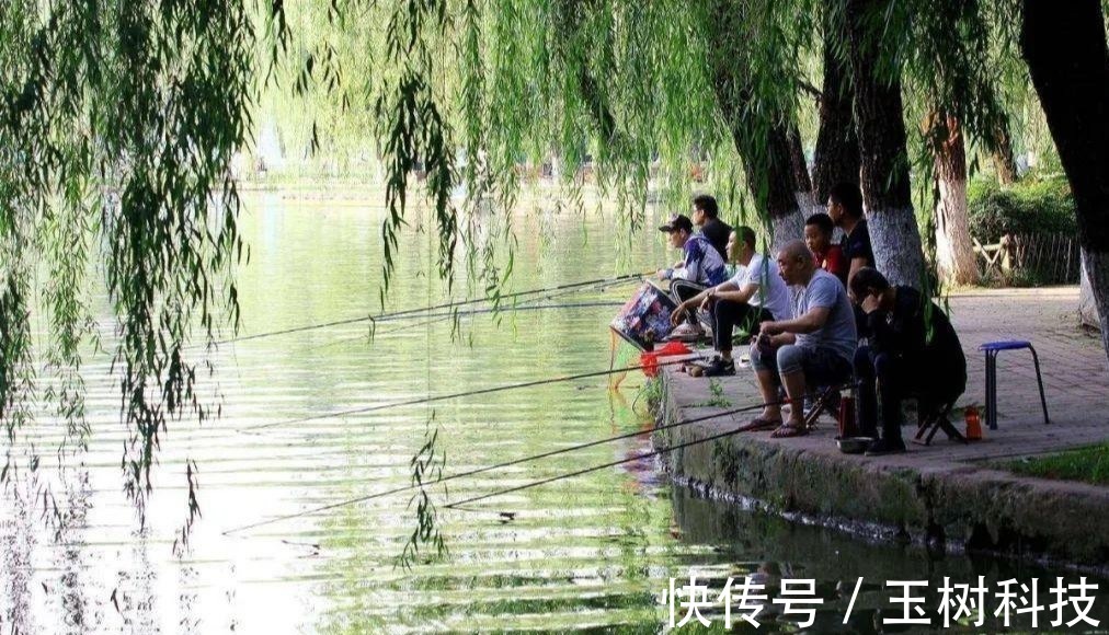 技巧|你不知道的用酒米打窝诱鱼技巧！小鱼不闹窝，大鱼全上钩