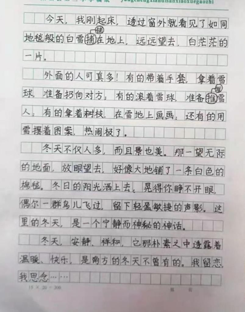 家长晒二年级学霸的日记，字迹堪比“印刷体”，成为家长传阅焦点