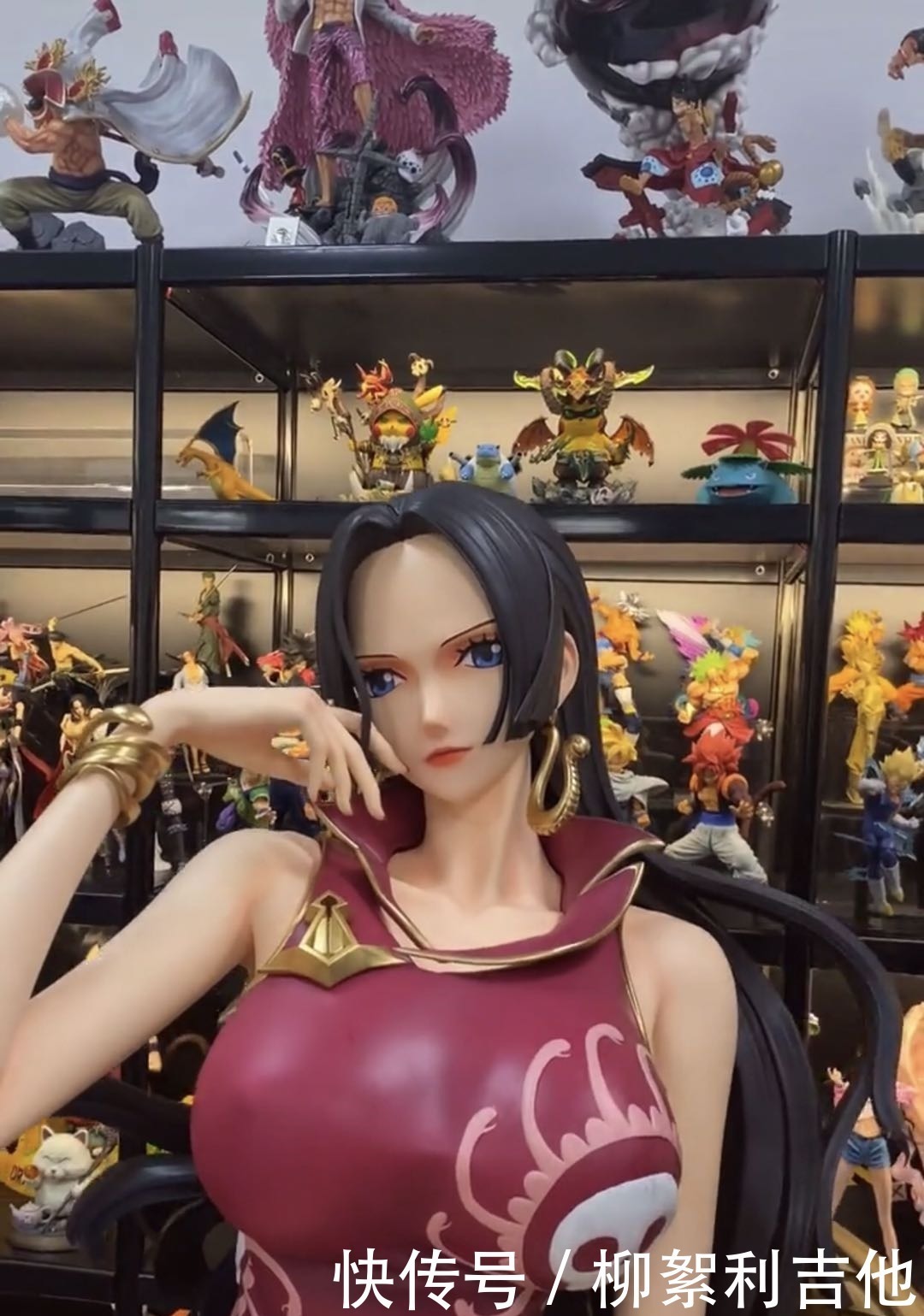 波雅·汉库克|花一年工资,买《海贼王》女帝手办是什么体验,小哥实力炫耀