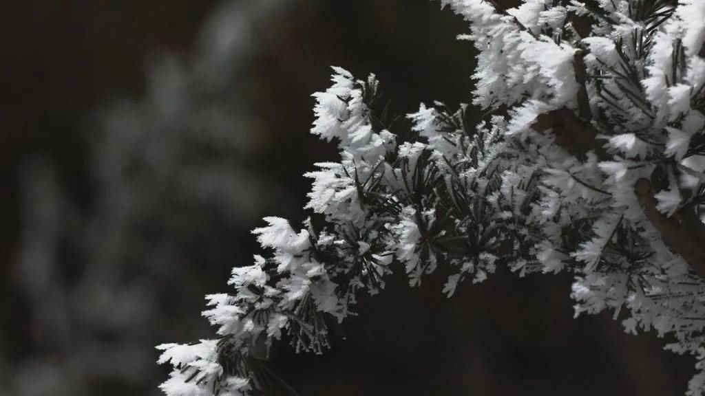 地方|汶川下雪了！这些地方，你最想去哪个？