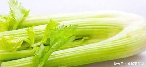 肾脏|公认四大“伤肾”食物,尤其最后一种,贪吃加速“肾透支”!