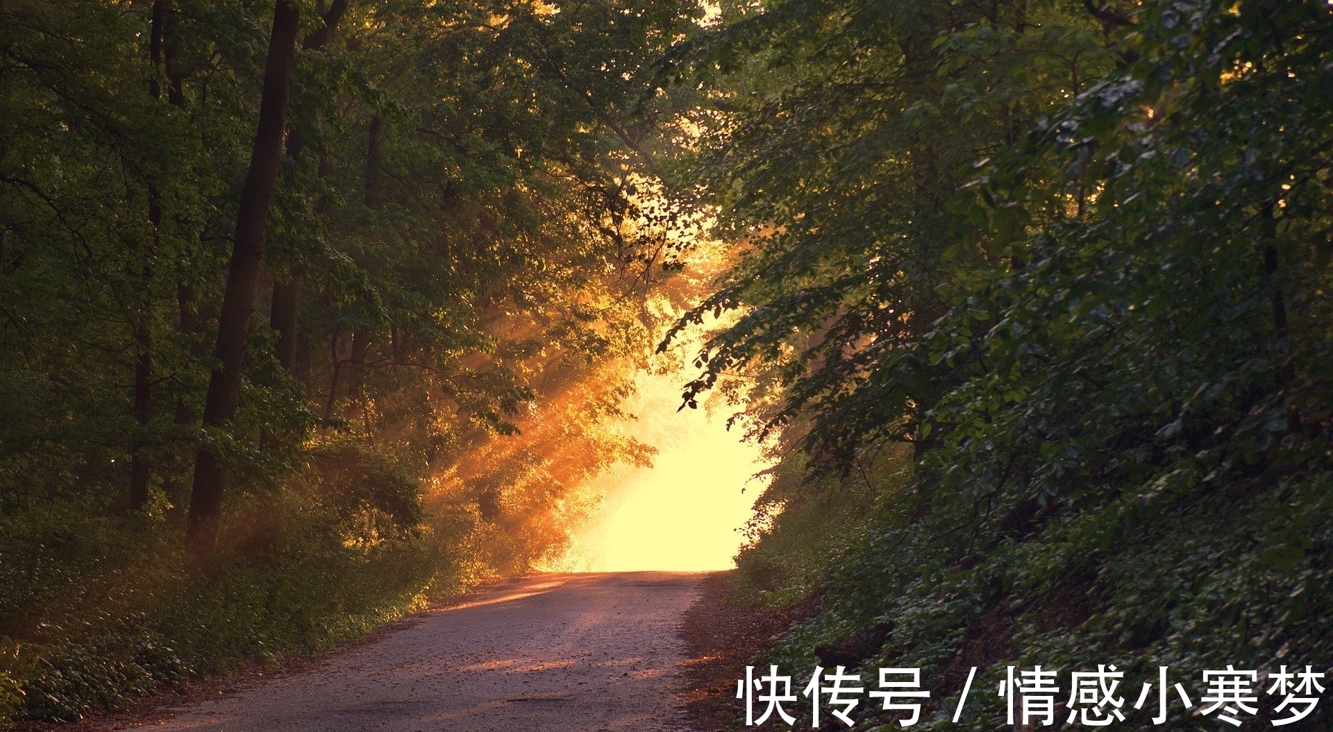 死亡|也谈死亡,为更好地生活而做的头脑体操∣轻阅读