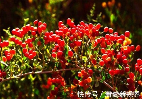 女性|爱美的女性要多吃4种食物,排毒养颜、延缓衰老,有益健康