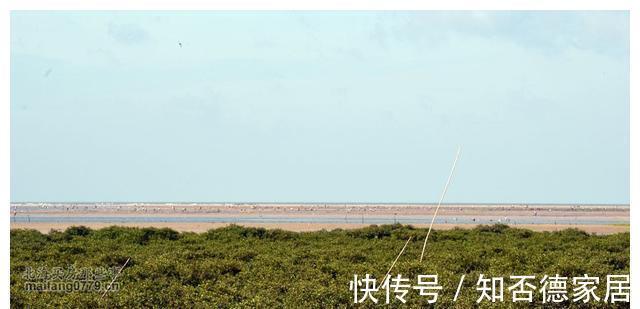 冯家江|2021初秋北海看房参考(2):冯家江和银滩东区锋芒摇摆