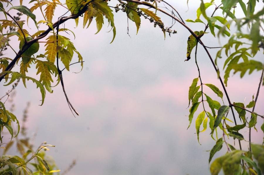 心境|稍近、稍近、稍稍近，秋雨过后看捎近，会目瞪口呆哦