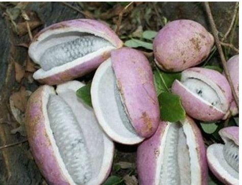 老少皆宜|超市很常见的3种食物，值得天天吃一些，美容养颜、滋润身体！