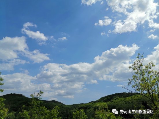 野河山|纵享夏日惬意野河山