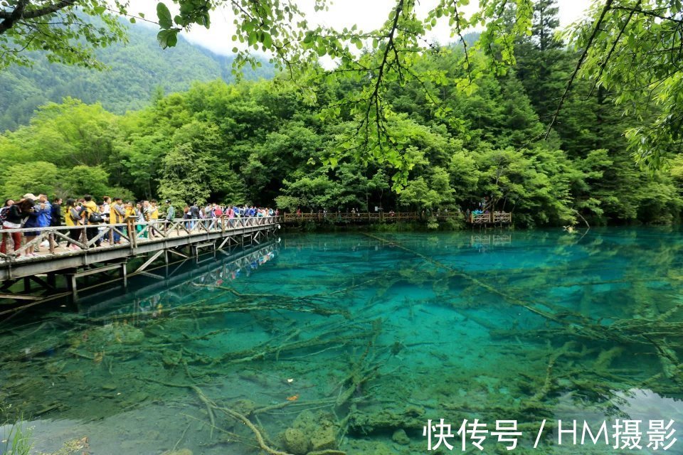 海子|神奇的人间天堂 九寨沟