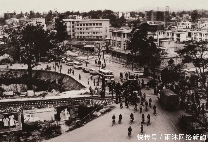 依然|张爱玲交友:在精不在多,真朋友看到你的缺点,依然是你的后盾