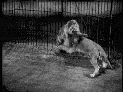 |搞笑GIF:今天周六 带女朋友去海边看看海