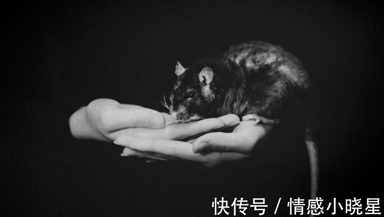 米虫|双11，一位“啃老族”的故事