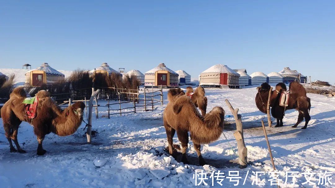 崇礼|冬奥会倒计时22天！这座曾经比肩北京的老城，“国际张”藏不住了