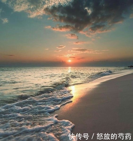 精髓|化氏饵料归类:最全化氏饵料配方大全【转载分享】(精髓)