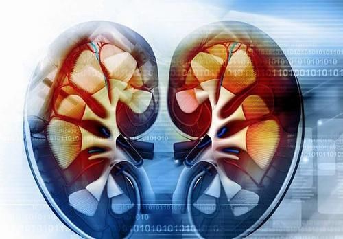 慢性肾炎|慢性肾炎“走向”尿毒症,会经历几个阶段?及时处理或能控制