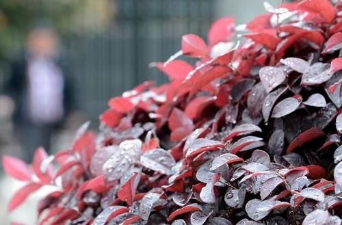 雨水节气后，记得常吃5多做2，缓解春燥，全家安稳过“倒春寒”