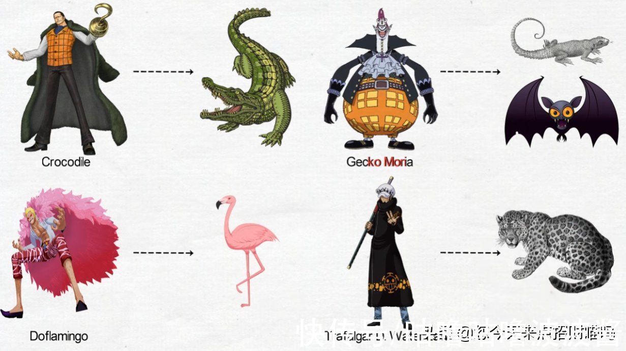 动物|海贼王:角色外观属性符合哪些动物特征,竟然有人还是双修