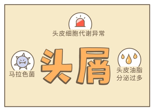 人为什么要有头屑啊