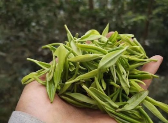 祛湿|天然的“祛湿王”找到了,生活中早晚吃4物,或助你排出湿气!