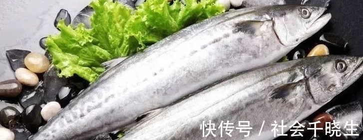 手软|立秋了，遇到鱼别手软，无法人工养殖，营养价值高