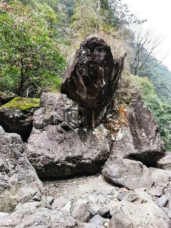 游记|吴长花：芎坑峡谷游记