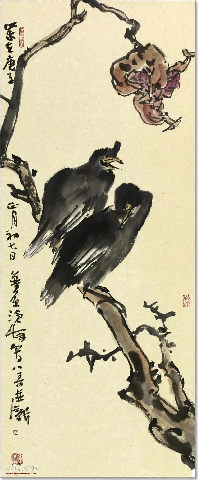 33cm|尹沧海教授八哥作品欣赏:融历代名家的绘画语言于一体