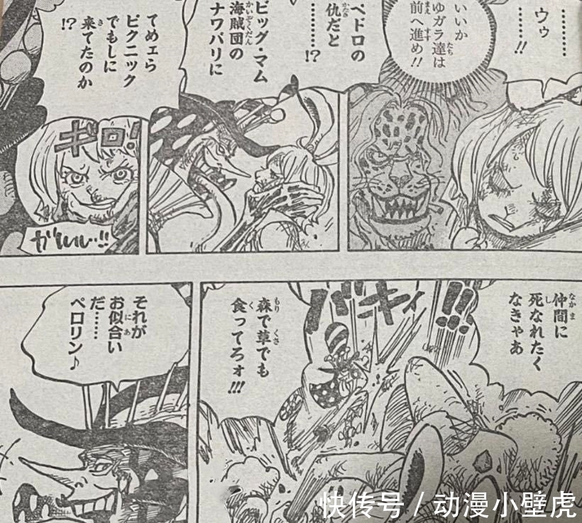 兔子|海贼王1006话:小马哥被烬斩落翅膀,豹五郎释放“生命归还”