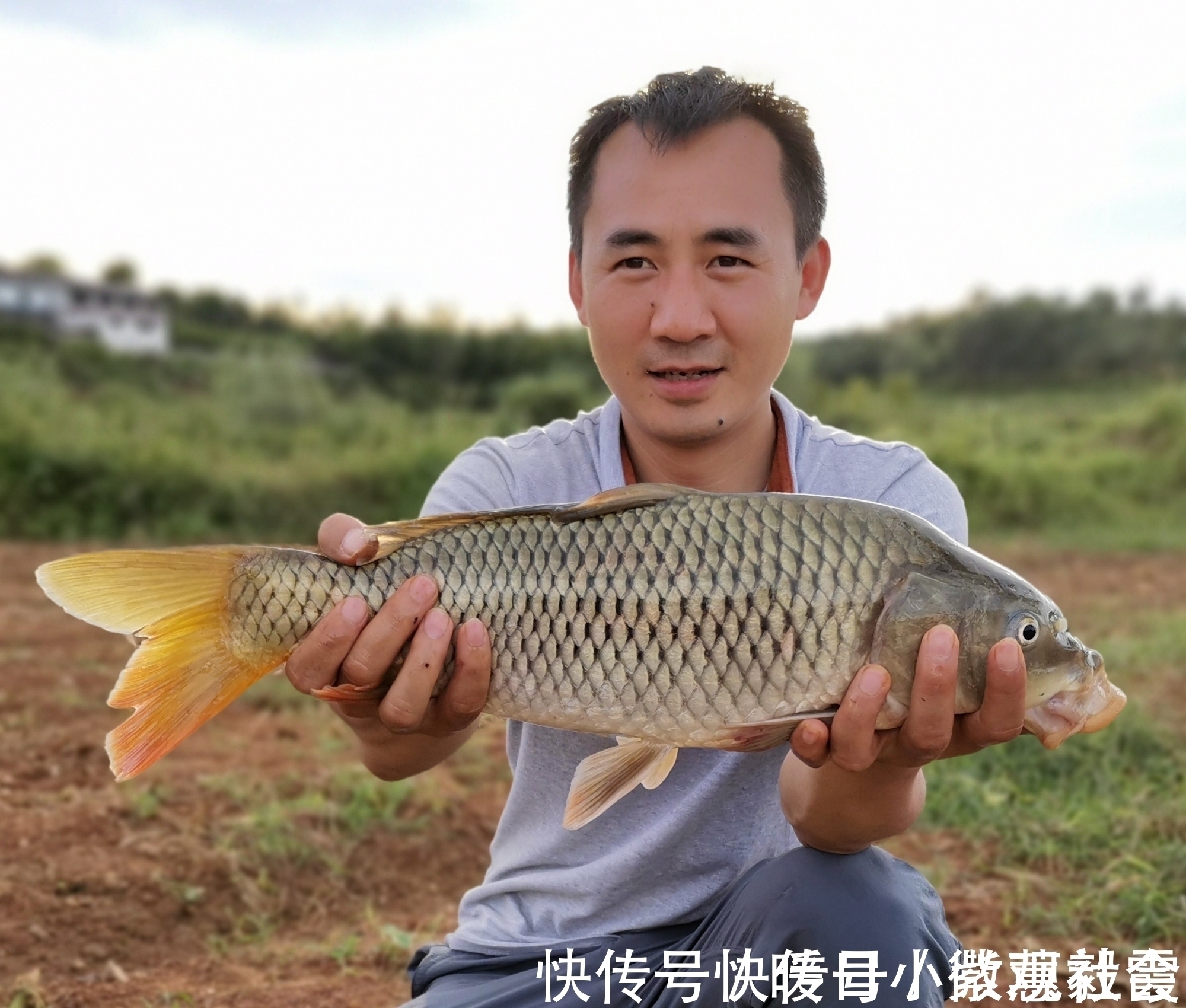 老坛玉米钓青鱼草鱼,这样的挂钩方式,不挡口容易中鱼还能钓翘嘴