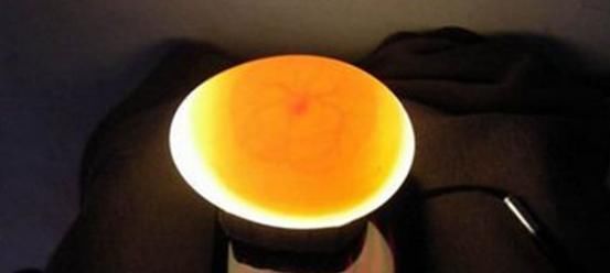 “红壳”和“白壳”鸡蛋的区别在哪吃了几十年，有人并不了解