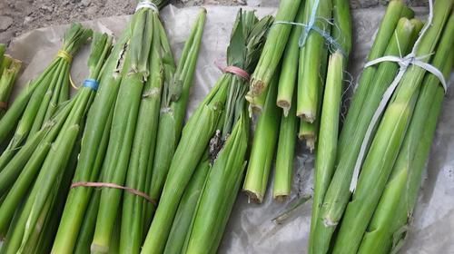 排毒养颜|长寿老人爱吃的食物,排毒养颜、滋补身体,延缓衰老,更显年轻