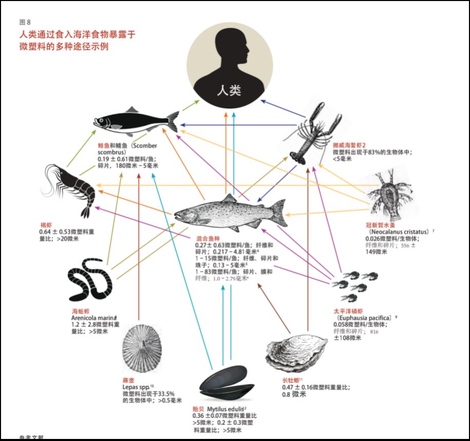 吃掉|你每周“吃掉”的塑料，相当于一张信用卡？！